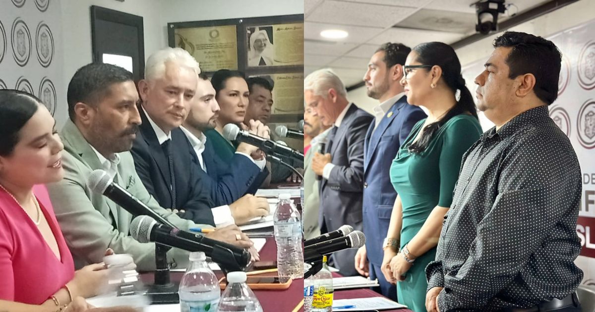 Integra Dip. Fidel Mogollón comisión de seguridad