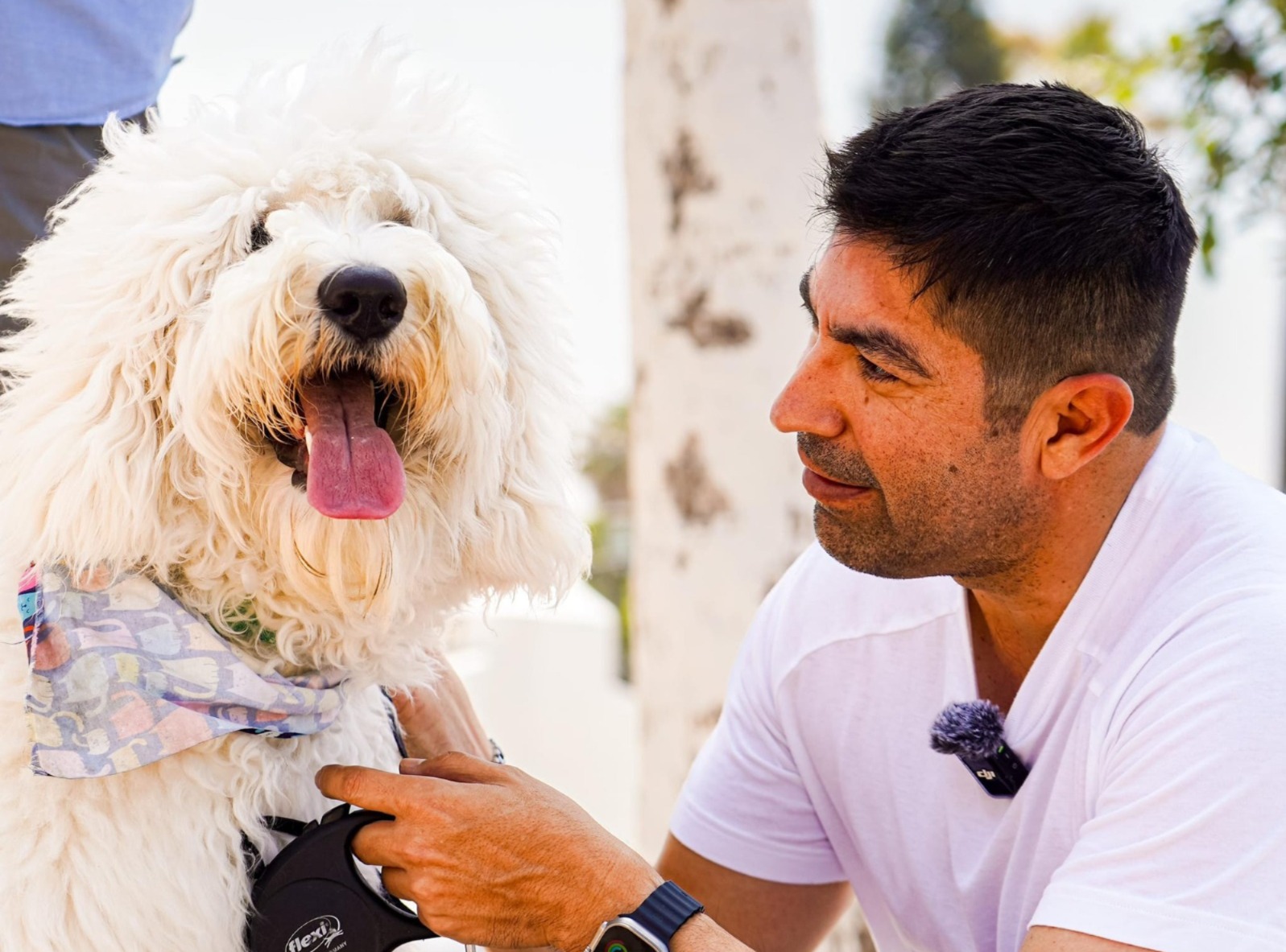 Acciones en pro del bienestar animal fundamentales en la prevención de enfermedades zoonóticas: AAR