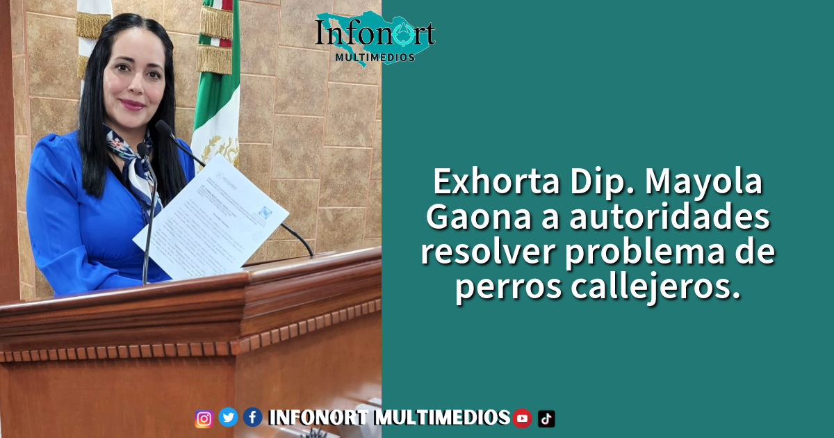Exhorta Dip. Mayola Gaona a autoridades resolver problema de perros callejeros