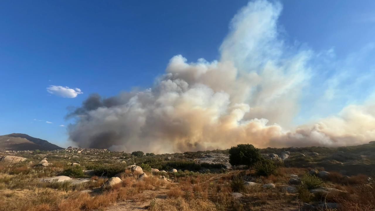 Brindan apoyo Bomberos de Tijuana en incendio forestal en Tecate