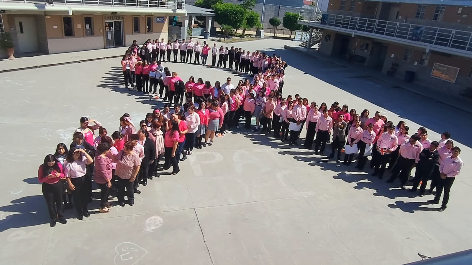 El 80% de las mexicanas no se realizan el examen para la detección oportuna del cáncer de mama: ENFT