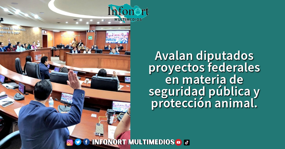 Avalan diputados proyectos federales en materia de seguridad pública y protección animal