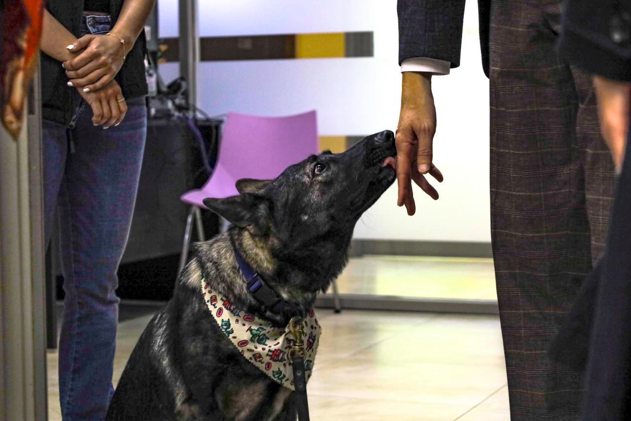 Presenta CEJUM programa de terapia asistida en seminario nacional de buenas prácticas de la CONAVIM